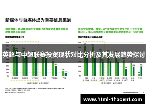 英超与中超联赛投资现状对比分析及其发展趋势探讨