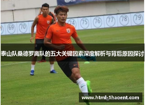泰山队桑德罗离队的五大关键因素深度解析与背后原因探讨