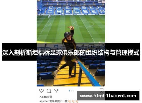 深入剖析斯坦福桥足球俱乐部的组织结构与管理模式