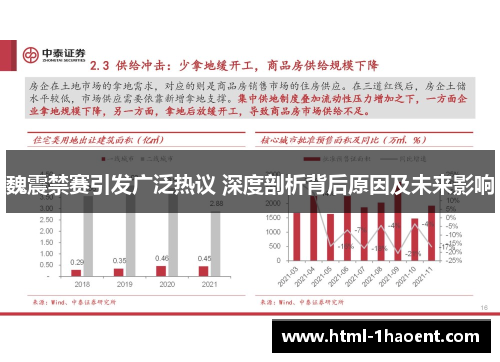 魏震禁赛引发广泛热议 深度剖析背后原因及未来影响