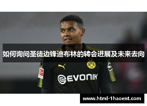 如何询问圣徒边锋迪布林的转会进展及未来去向 如何询问圣徒边锋迪布林的转会进展及未来去向