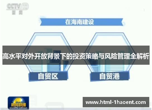 高水平对外开放背景下的投资策略与风险管理全解析